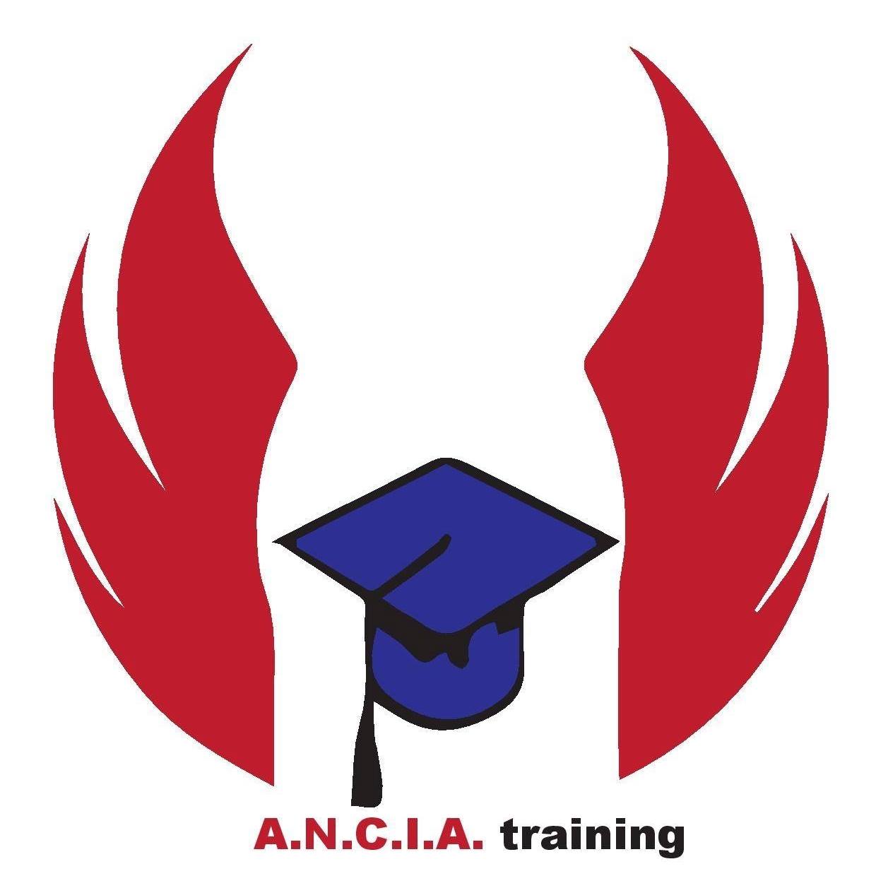 ANCIA training - Academia Națională de Control Intern și Achiziții
